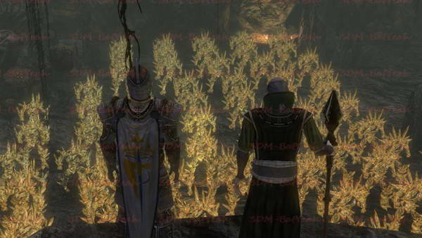 《两个世界2》图文攻略|Two Worlds 2