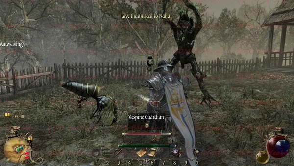 《两个世界2》图文攻略|Two Worlds 2