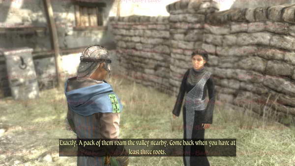 《两个世界2》图文攻略|Two Worlds 2