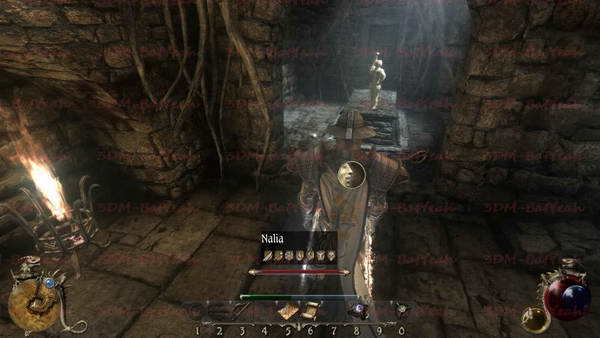 《两个世界2》图文攻略|Two Worlds 2