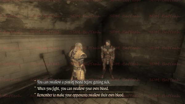 《两个世界2》图文攻略|Two Worlds 2