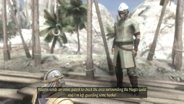 《两个世界2》图文攻略|Two Worlds 2