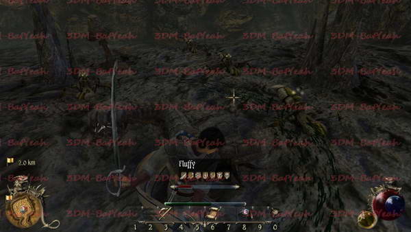 《两个世界2》图文攻略|Two Worlds 2