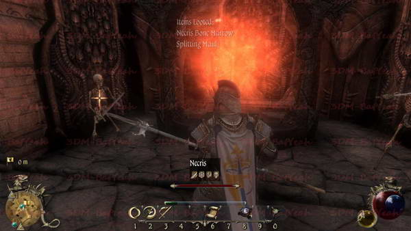 《两个世界2》图文攻略|Two Worlds 2