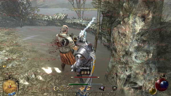 《两个世界2》图文攻略|Two Worlds 2