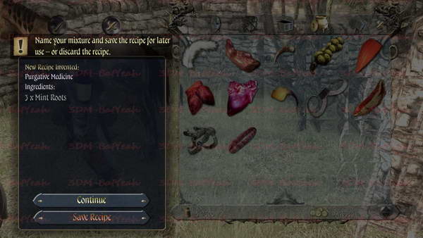 《两个世界2》图文攻略|Two Worlds 2