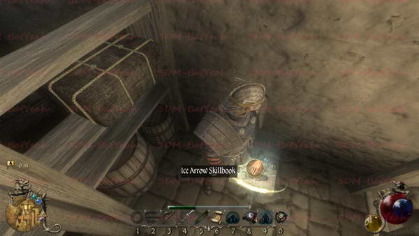 《两个世界2》图文攻略|Two Worlds 2