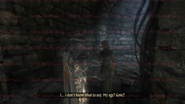 《两个世界2》图文攻略|Two Worlds 2