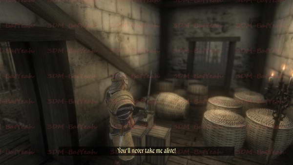 《两个世界2》图文攻略|Two Worlds 2