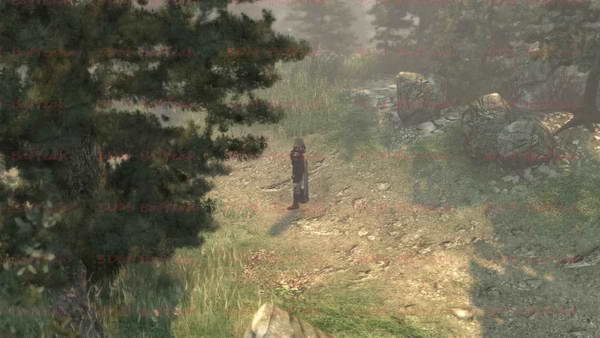 《两个世界2》图文攻略|Two Worlds 2