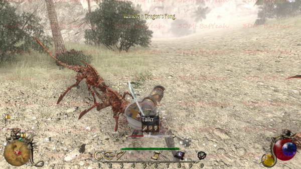 《两个世界2》图文攻略|Two Worlds 2