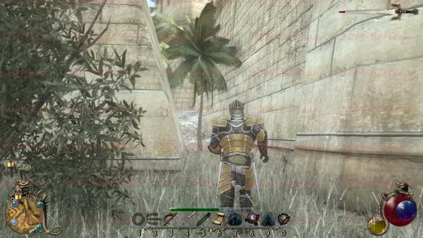 《两个世界2》图文攻略|Two Worlds 2